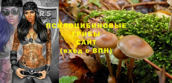 шишки Баксан