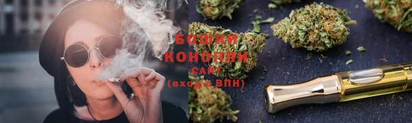 МДПВ Пересвет