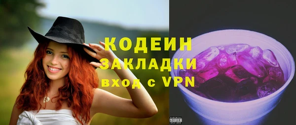 МДПВ Пересвет