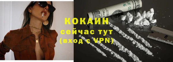 МДПВ Пересвет