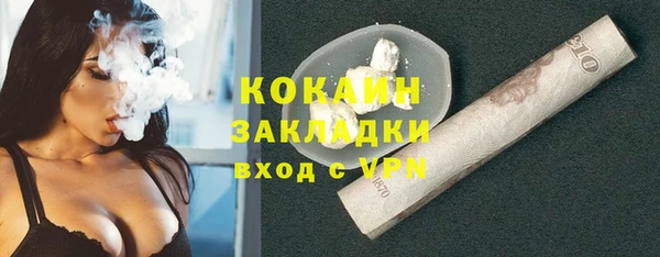 МДПВ Пересвет